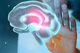 Neurology